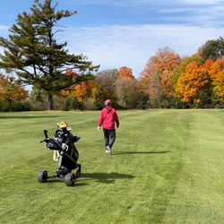 Axglo E3 Follow electric golf cart